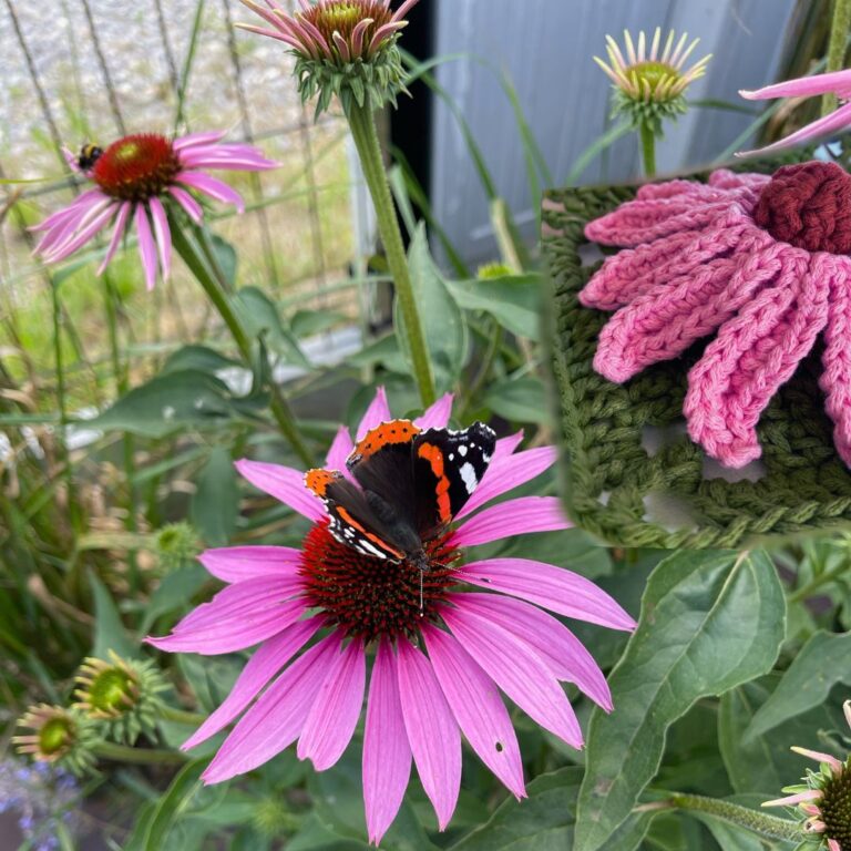 Echinacea Granny Square: A Floral Masterpiece